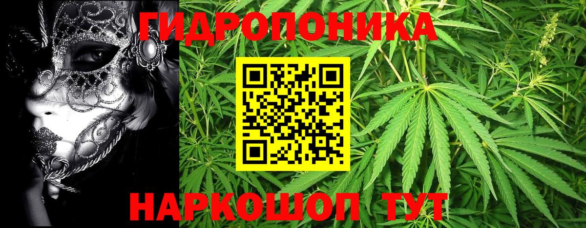Шишки марихуана семена  Шишки марихуана план  Бошки Шишки THC 21%  Вход с VPN  Энгельс 
